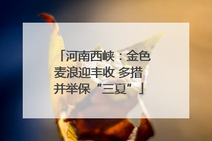 河南西峡：金色麦浪迎丰收 多措并举保“三夏”